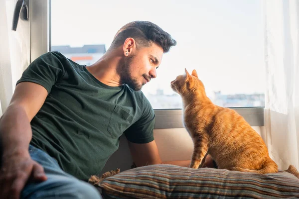 Junge Und Gestromte Katze Starren Sich Vor Dem Fenster — Stockfoto