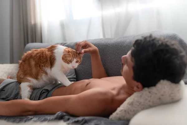 茶色く白い猫がソファの上に寝そべっている青年の胸の上を歩く — ストック写真