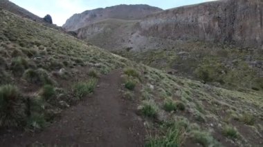 Domuyo bozkır otlaklar manzara. Geisers ile sıcak Nehri ile bir vadi yamacında altiplain gidiş sahnede iletir. Andes Dağları, Neuquen, Patagonya Arjantin. Bulutlu karanlık gün.