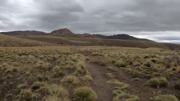 Grasslands Landscape Domuyo Steppe Scene Altiplain Going Forwards Valley Hot — Stock Video