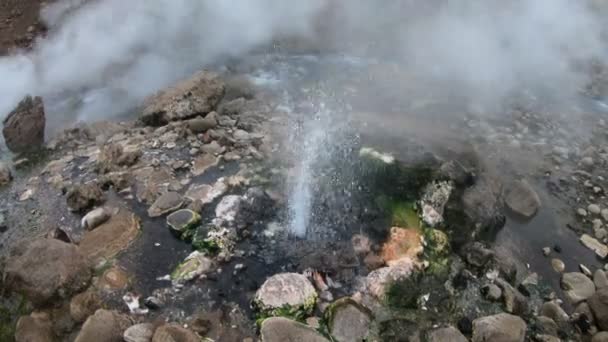 Detalle Geisers Con Agua Caliente Vapor Río Covunco Volcán Domuyo — Vídeos de Stock