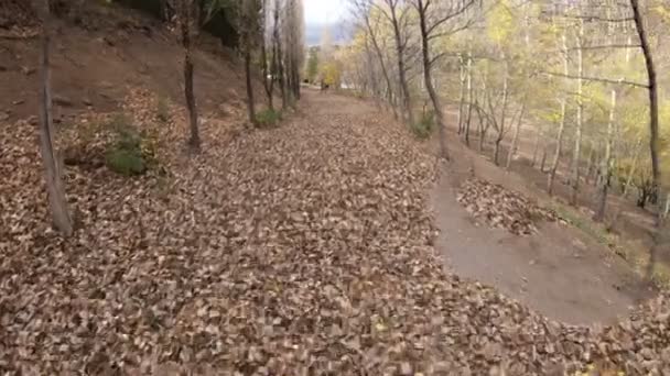 Automne, scène d'automne sur un chemin plein de feuilles dans le sol à Aguas Calientes, bains naturels geisers, dans le volcan Domuyo. Varvarco, Neuquen, Patagonie Argentine. Jour froid gris foncé nuageux .