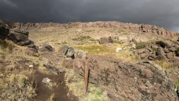 Praterie Paesaggio Steppico Una Giornata Fredda Grigia Molto Nuvolosa Fotocamera — Video Stock