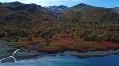 Epu Lauquen lagün sonbaharda hava dron sahne. Sidewards, değil mi, kırmızı sonbahar ağaçlar ve göl üzerinde seyahat fotoğraf makinesi. Rüzgar yok, göl yansıması bir ayna olarak. Neuquen, Patagonya Arjantin.