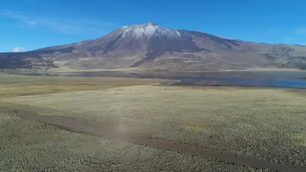 Tromen Vulkán Nemzeti Park Patagónia Légi Jelenet Mozgó Jobbra Lefelé — Stock videók