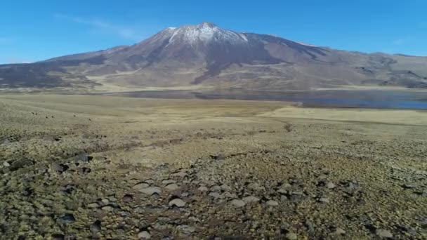 Tromen Vulkan Nationalpark Patagonien Drohnen Szene Aus Der Luft Die — Stockvideo