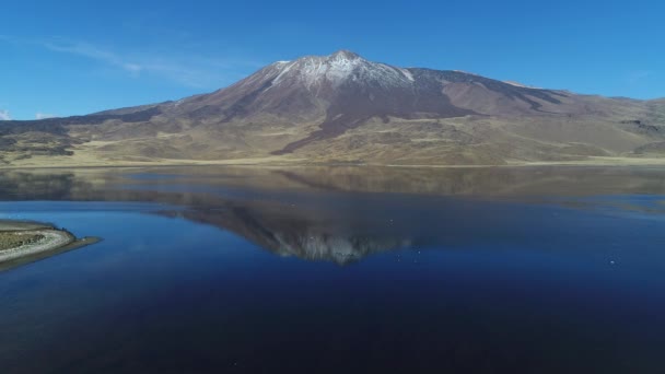 Volcán Tromen Parque Nacional Patagonia Escena Aérea Moviéndose Hacia Adelante — Vídeo de stock