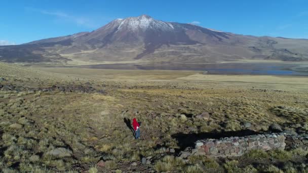 Tromen Volcano National Park Woman Walking Baby Hands Aerial Scene — Stock Video