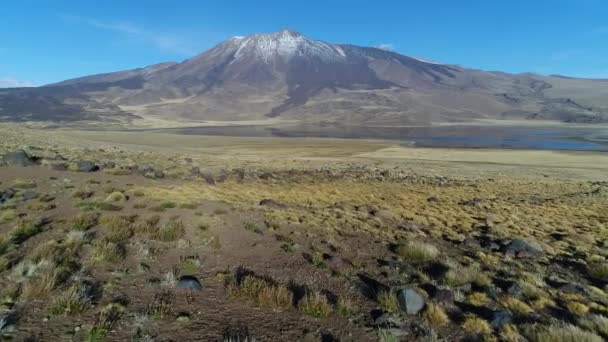 Tromen Volkan Milli Parkı Patagonya Hava Dron Sahne Hareketli Oda — Stok video