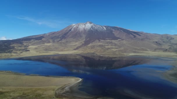 Tromen Vulkan National Park Patagonia Aerial Scen Flyttar Bakåt Berg — Stockvideo