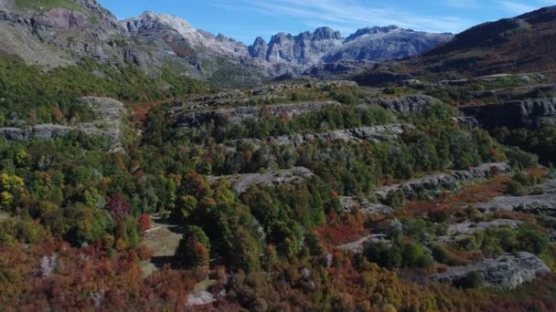Epu Lauquen 초가을 배경에서 안데스 산맥의 장면에 나타나는 앞으로 그리고 — 비디오