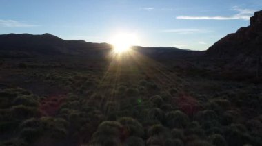 Hava dron sahne. Barrancas Nehri gün batımı, altın saat, backlight. Neuquen Mendoza, Arjantin durumunu böler. Yukarı doğru hareket kamera. Ağaçlarda sonbahar renkleri.