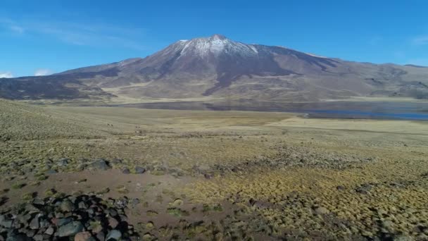 Tromen Vulkán Národním Parku Patagonie Letecké Drone Scéně Posunuli Dál — Stock video