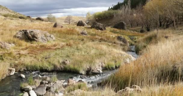 Fluxo Térmico Quente Descendo Longo Pastagens Verdes Amarelas Árvores Montanhas — Vídeo de Stock