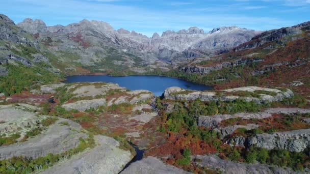 Escena Aérea Drones Las Lagunas Epu Lauquen Otoño Caída Con — Vídeos de Stock