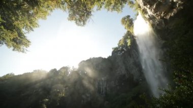 Yavaş hareket 120fps şelale El Saltillo Milli Parkı Lanin arasında orman ağaçları. Egirdir Paimun Gölü. Arka ışık sahne, Nauquen, Patagonya Arjantin. Havadaki su parçacıkları buharı.