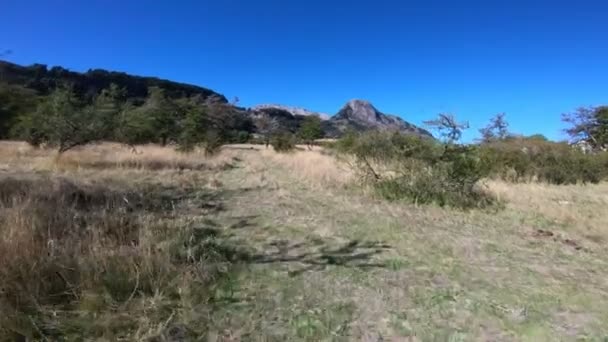 Parque Nacional Lanin Lago Paimun Neuquén Patagonia Argentina Cámara Avanzando — Vídeo de stock