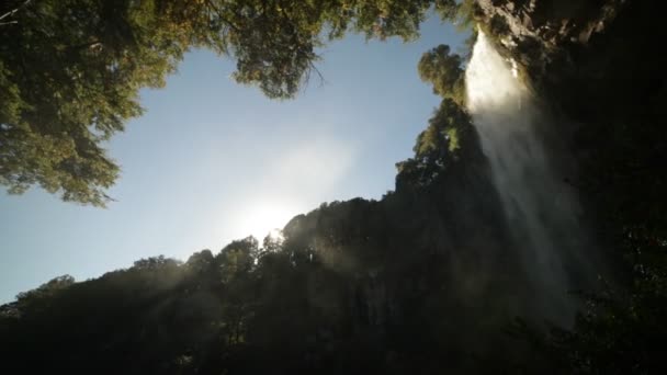 Zeitlupe 120Fps Wasserfall Saltillo Nationalpark Lanin Zwischen Bäumen Wald Trekking — Stockvideo