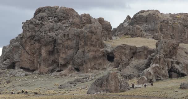 Ovejas Cabras Caballos Caminando Por Las Laderas Rocosas Las Montañas — Vídeos de Stock