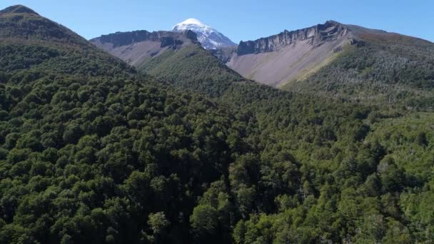 Drone Aéreo Escena Montañas Árboles Volcán Lanin Lago Paimun Neuquén — Vídeos de Stock