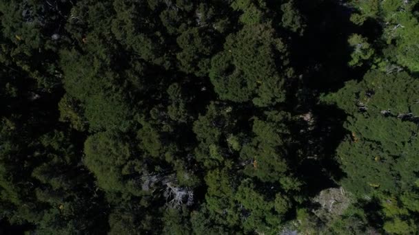 Drone Aéreo Escena Montañas Árboles Piedra Mala Lago Paimun Neuquén — Vídeos de Stock