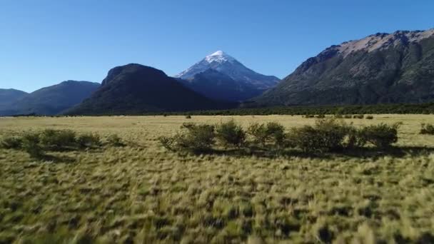 Воздушный Беспилотник Scene Lanin Volcano National Park Lanin Neuquen Patagonia — стоковое видео