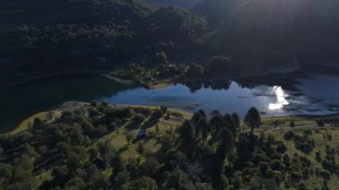 Hava dron Paimun sahne nehir, ile araucarias, Neuquen, Patagonia, Arjantin, Milli Parkı Lanin otopark. Narrowless Paimun ve huechulafquen gölleri arasında görmek kamera hareket iletir