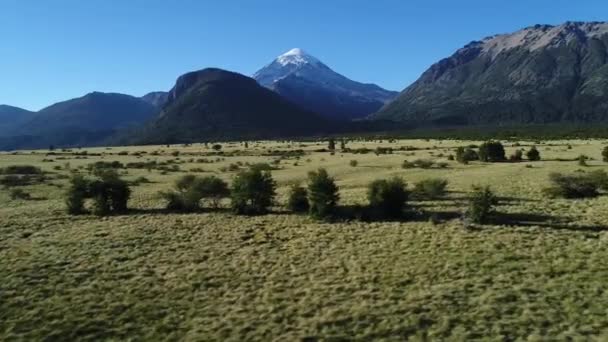 Luchtfoto Drone Scène Lanin Vulkaan Bomen Estepa Camera Beweegt Buurt — Stockvideo