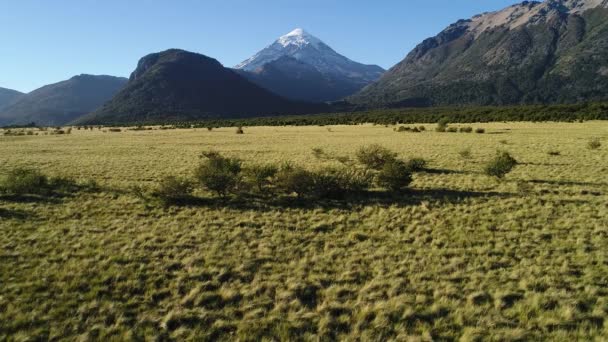 Wulkan Lanin Sceny Powietrzne Drone Drzew Stepu Poruszający Pobliżu Podłogi — Wideo stockowe