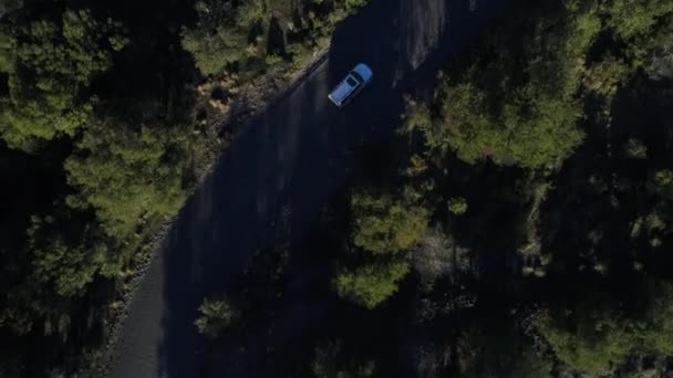 Luchtfoto Drone Scène Bomen Camera Vooruit Een Onverharde Weg Auto — Stockvideo