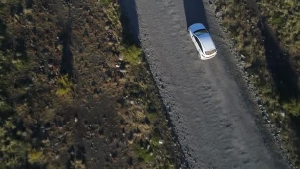 空中ドローン シーン木 未舗装の道路 車の追跡 ネウケン パタゴニア アルゼンチンの上前方に移動カメラ — ストック動画
