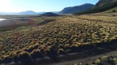 Bozkır ve Nahueve Nehri neuquen, Patagonya Arjantin hava dron sahne. Altın saat, arkadan. Çam ekimi, ağaçlandırma, ticari amaç. Yanındaki yere hızla uçan kamera.