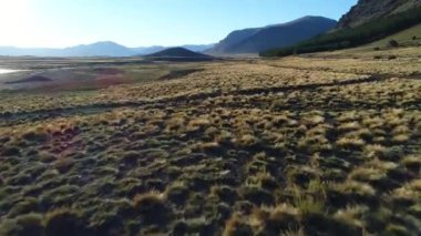 Bozkır ve Nahueve Nehri neuquen, Patagonya Arjantin hava dron sahne. Altın saat, arkadan. Çam ekimi, ağaçlandırma, ticari amaç. Yanındaki yere hızla uçan kamera.