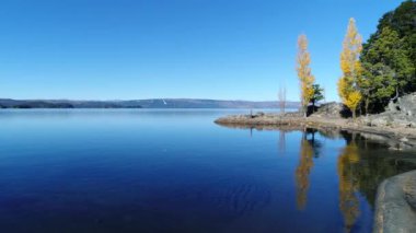 Hava dron sahne Alumine Gölü bir martı görünür ve kamera doğru gider. Kamera yavaş yavaş kıyı, sarı kavak deniz kenarı boyunca hareket eder. Mapuçe alanı, beş lagün villa pehuenia bölgesi