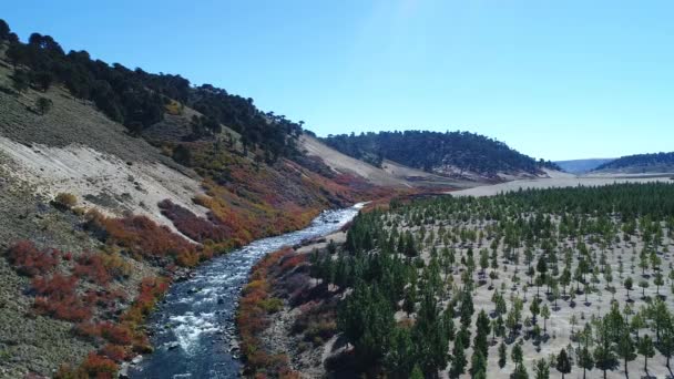 Aerial Drone Scene Litran River Colourfull Autumn Vegetation Riverbend Camera — Stock Video