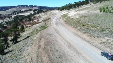 Kamyonet ve karavan Litran Nehri vadisinde bir çakıl yolda seyahat hava dron sahne. Sonbahar bitki örtüsü ile araucarias. Kamera hala yüksek irtifada kalır. Villa Pehuenia - Moquehue. Patagonya Arjantin.