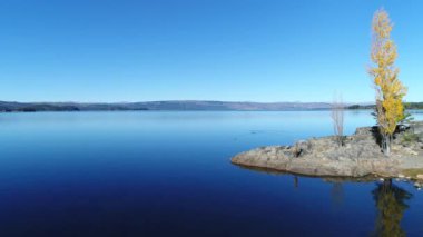 Hava dron sahne Alumine Gölü kayalık sahil, olay yerinde uçan martı. Kamera hala su üzerinde kalır. Sarı kavak deniz kenarı. Mapuçe alanı, beş lagün villa pehuenia turistik bölgesi