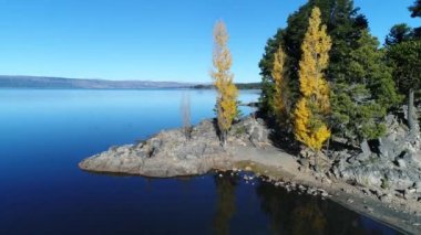 Hava dron sahne Alumine Gölü kayalık sahil. Kamera den kayalık sahil sarı kavak ile yüksek noktasına koylarından görünümünün yükselir. Mapuçe alanı, beş lagün villa pehuenia turistik bölgesi. Neuquen, Patagonya