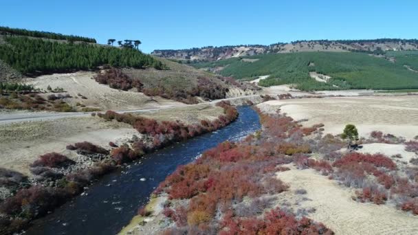 Escena Aérea Del Dron Del Río Litran Colorida Vegetación Otoñal — Vídeos de Stock