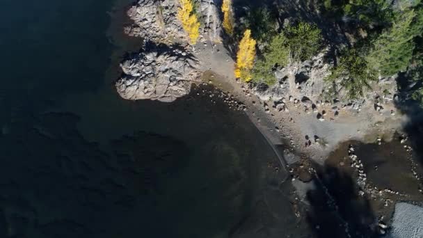 Scène de drone senital aérien Côte d'aluminium. Vue de dessus de la plage rocheuse et du ruisseau atteignant le lac. La caméra avance lentement. Peupliers jaunes. Zone mapuche, zone touristique de cinq lagunes dans la villa pehuenia 