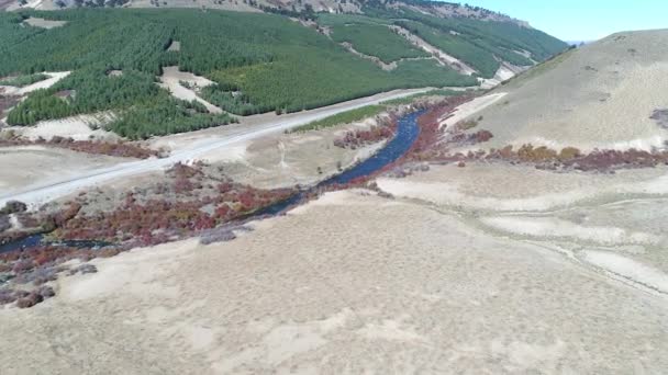 Drone Антена Сцени Річки Litran Тлі Осінній Краєвид Araucarian Вудс — стокове відео