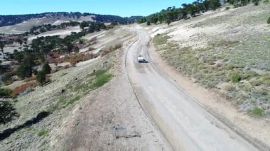 Van Litran Nehri Vadisi karavanda ile hava dron sahne. Renkli sonbahar araucarias. Kamera araba ile yol izler. Villa Pehuenia - Moquehue. Patagonya Arjantin.