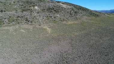 Neuquen, Patagonya Arjantin kuzeyinde epu lauquen Hill'de estepa hava dron sahne. Fotoğraf makinesi, büyük Dağları kar ile Andes Dağları, keşfetmek ve hareketli forwadrs.
