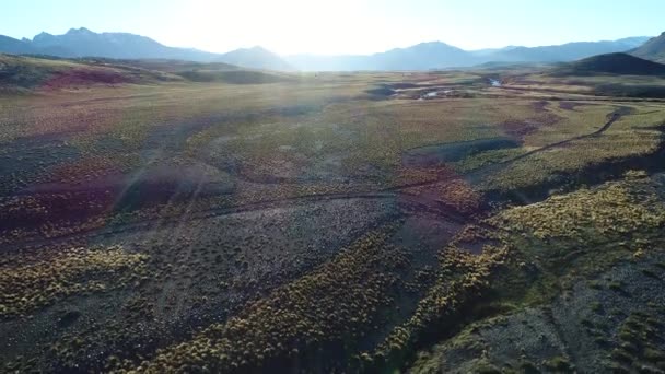 Сцена Воздушного Беспилотника Степью Рекой Науэве Неукене Патагония Аргентина Анды — стоковое видео