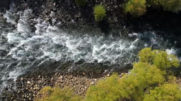 Sonbahar Nehirde Pulmari Akışı Kenar Kayalar Ağaçlar Ile Hava Dron — Stok video