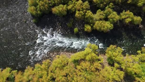 Drone Антена Вид Зверху Сцени Потоку Pulmari Річки Тепла Осінь — стокове відео