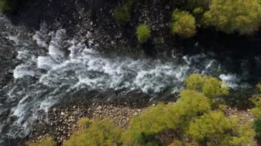 Sonbahar nehirde Pulmari akışı kenar ve kayalar, ağaçlar ile hava dron üstten görünüm sahne. Kamera yukarı,