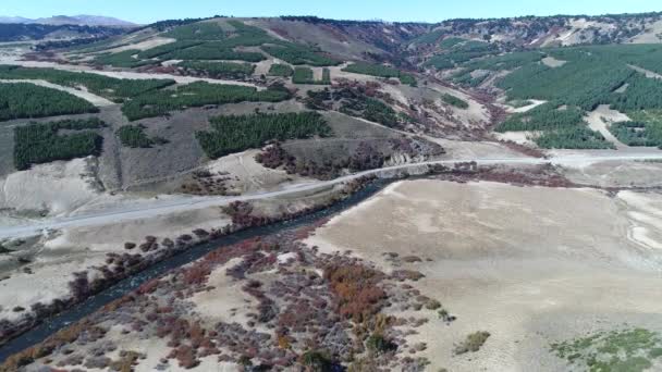 Aerial Drone Scene Litran River Araucarian Woods Pine Plantation Villa — Stock Video