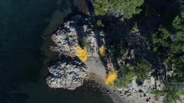 Hava senital dron Alumine sahil sahne. Üstten görünüm kayalık Beach, sarı kavak. Kamera yavaş yavaş kıyı boyunca hareket eder. Mapuçe alanı, beş lagün villa pehuenia turistik bölgesi.