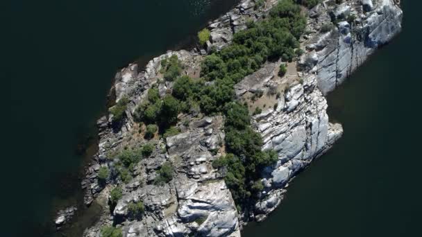 Aerea Vista Dall Alto Drone Scena Isola Rocciosa Con Alberi — Video Stock